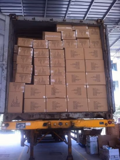 Pinceau de dessin de détail de cheveux de belette d'art de diverses tailles d'OEM